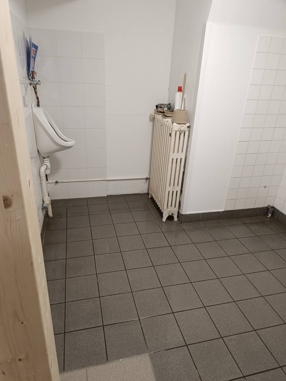 Nettoyage du sous sol du château de la frémoire a Vertou (46)