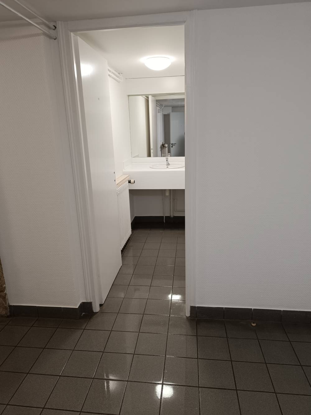Nettoyage du sous sol du château de la frémoire a Vertou (47)